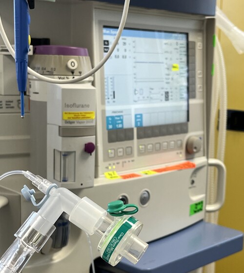 Kleintierpraxis Dr. Werth - unsere Vision